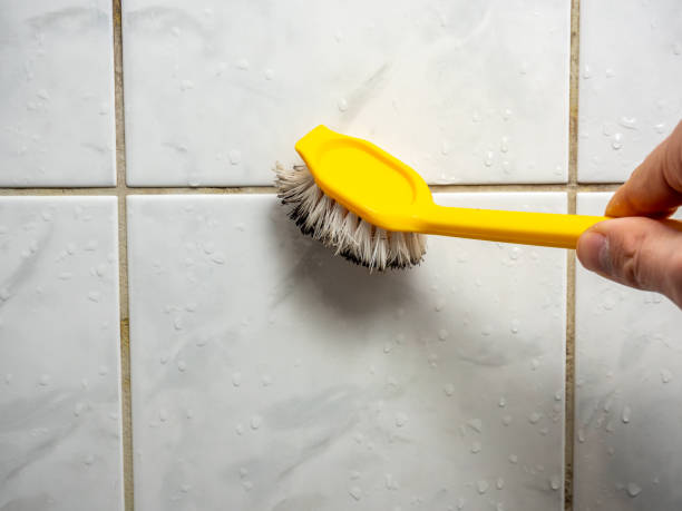 Best Basement Mold Remediation in Semmes, AL